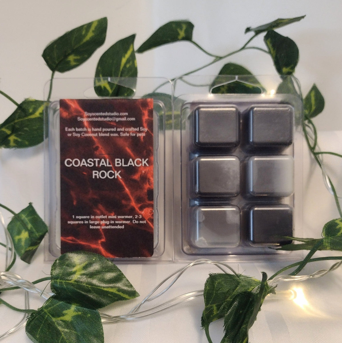 Coastal Black Rock