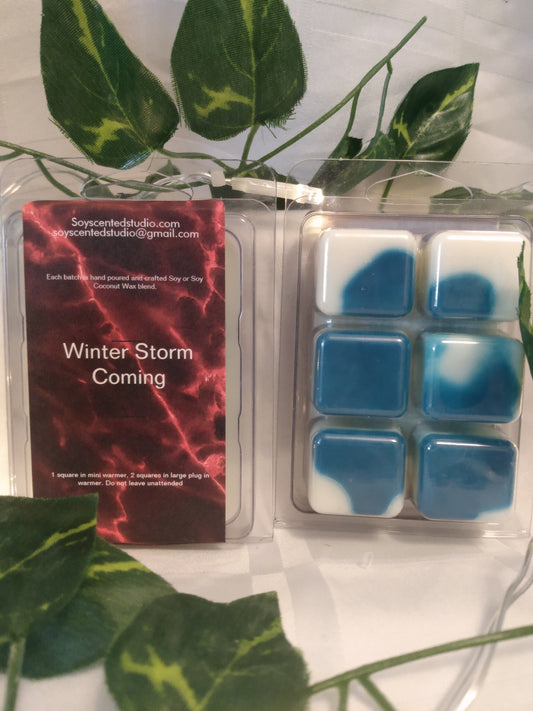 Out of Season Winter Storm is Coming Soy Scented Wax Melts