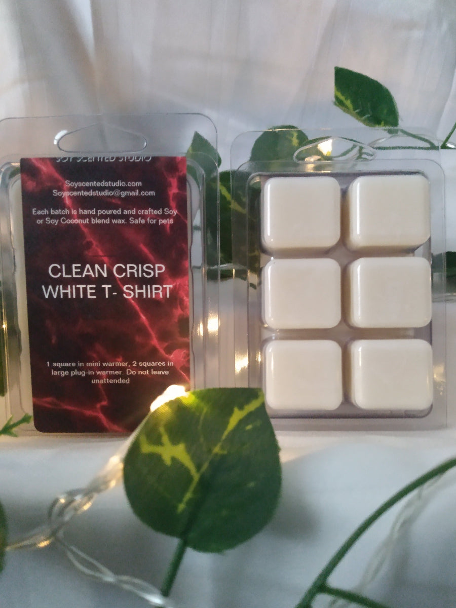clean-crisp-t-shirt