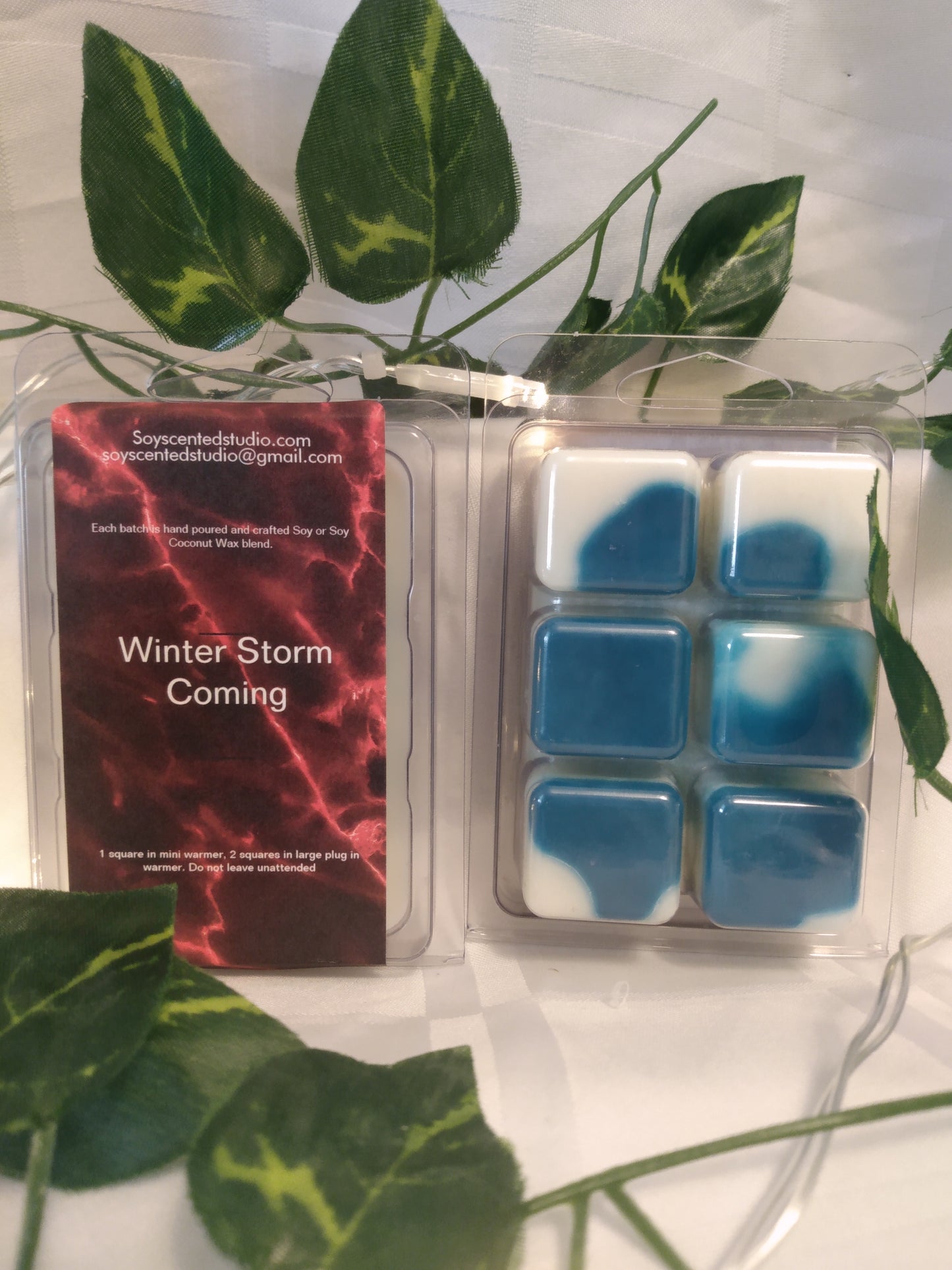 Clearance Winter Storm is Coming Soy Scented Wax Melts