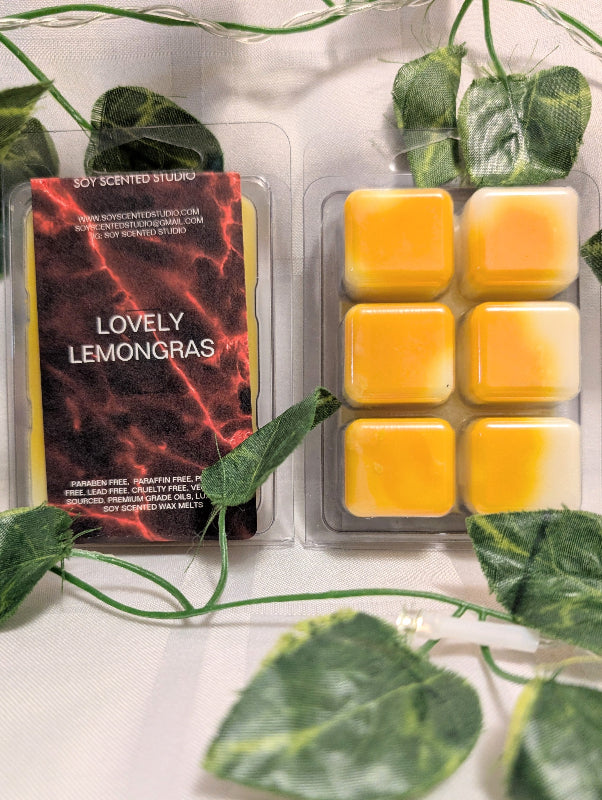 Broken Lovely Lemongrass Scented Soy Wax Melt
