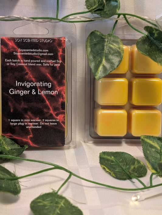 Invigorating Ginger and Lemon Scented Soy Wax Melts